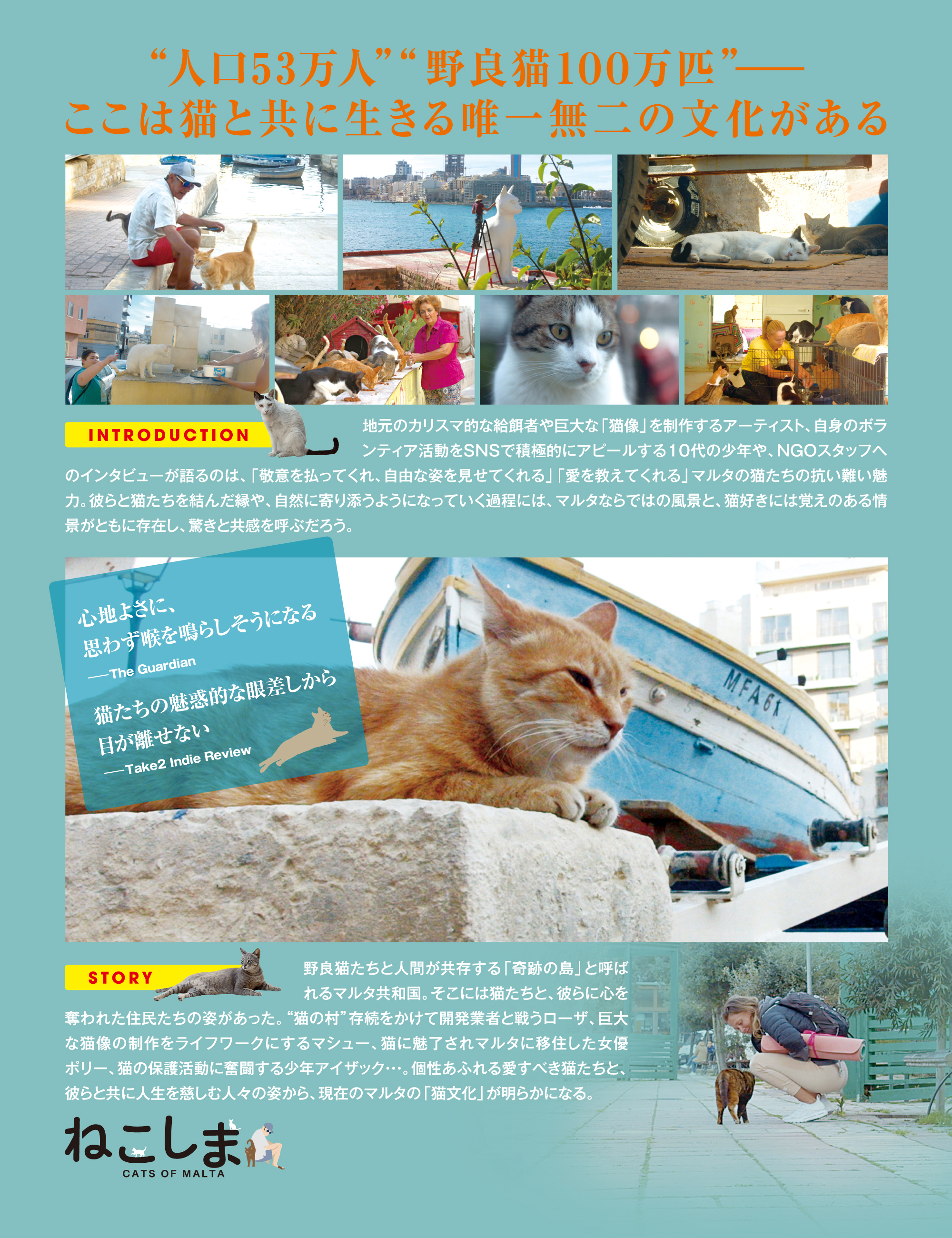 映画『ねこしま』公式サイト