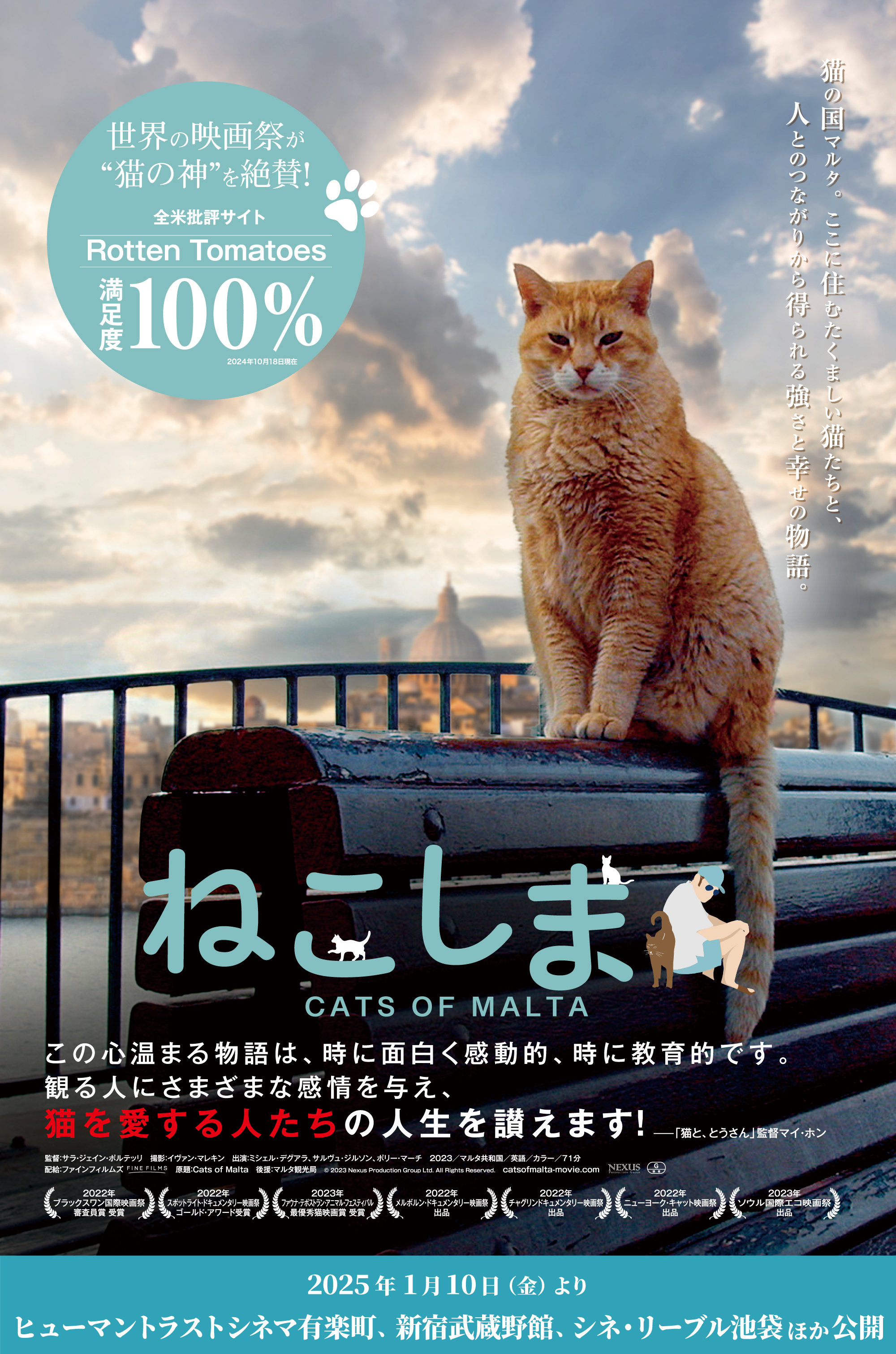 映画『ねこしま』公式サイト